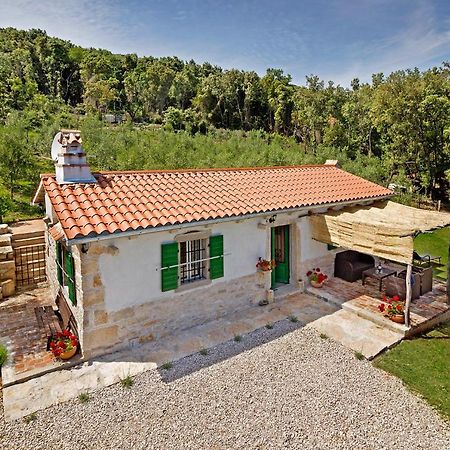 Roinizza In Prtlog Vila Labin  Exterior foto
