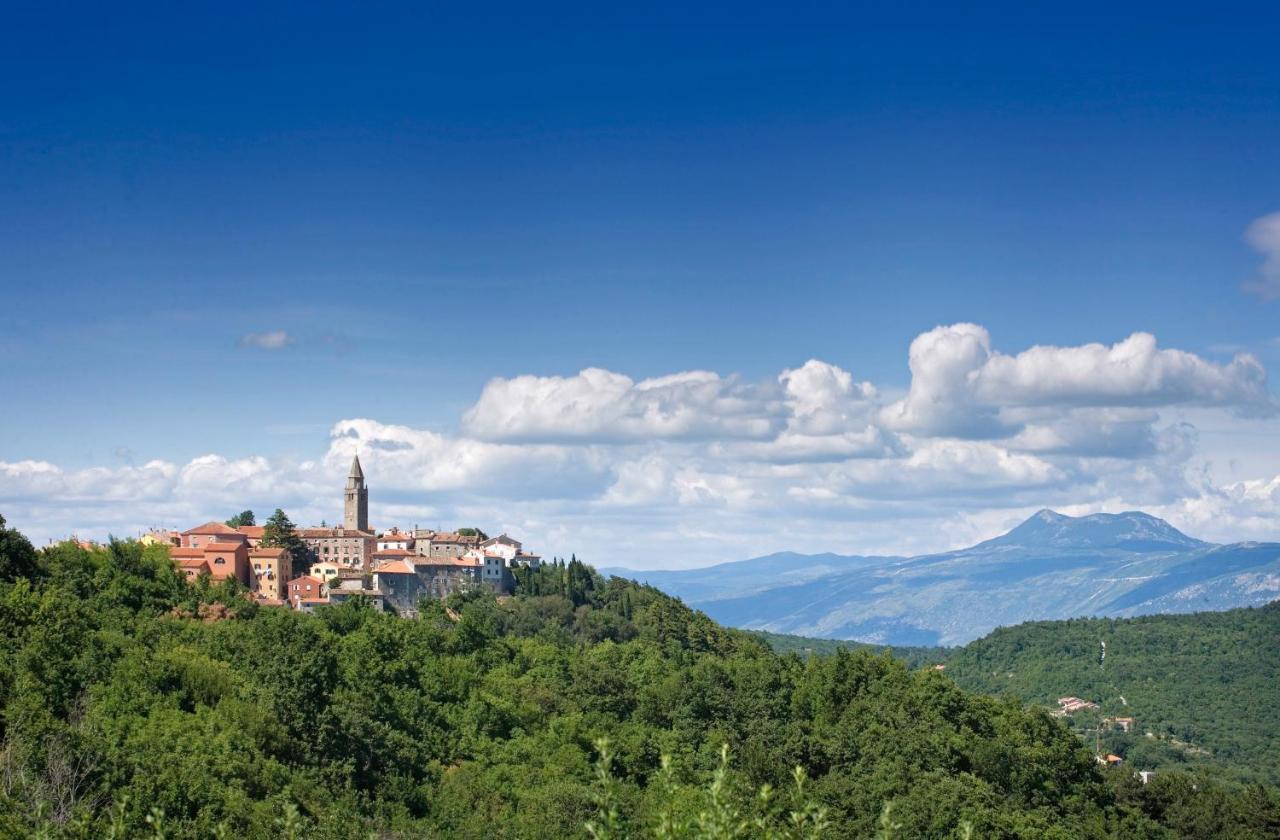 Roinizza In Prtlog Vila Labin  Exterior foto