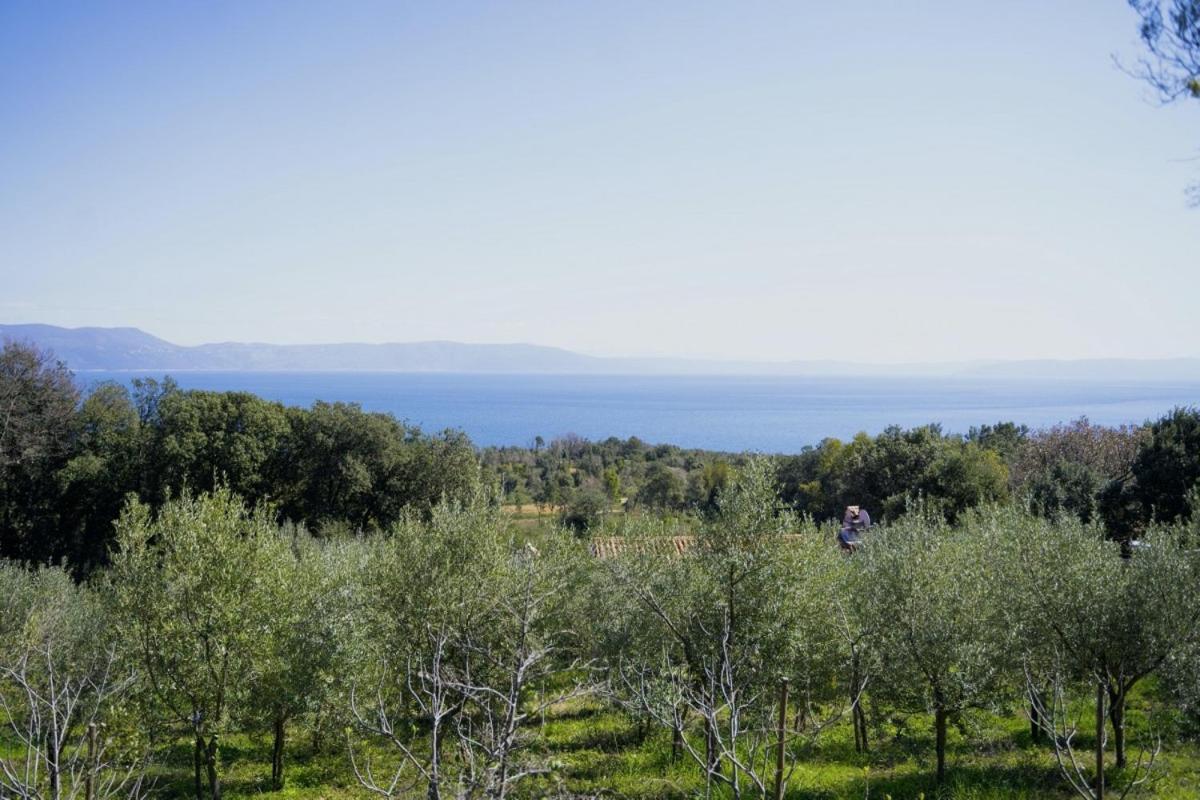 Roinizza In Prtlog Vila Labin  Exterior foto